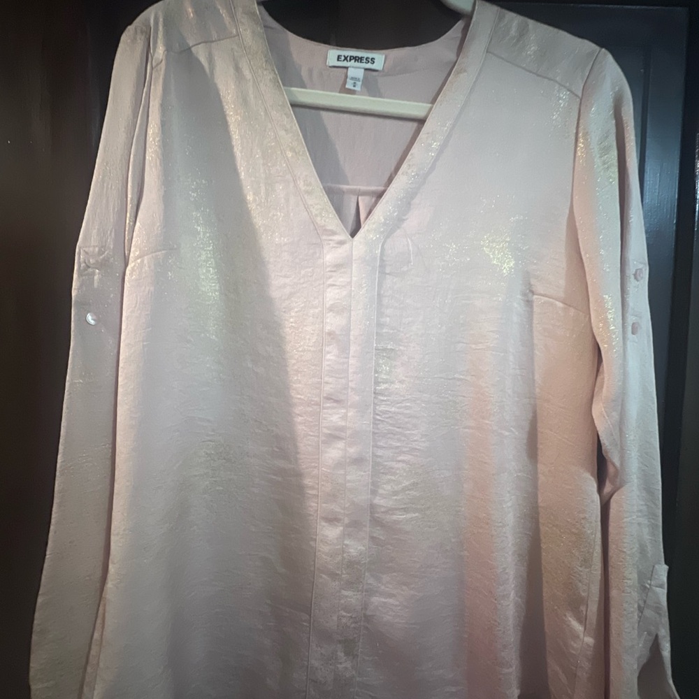 Express Women's Blush Shimmer V-Neck Office Chic Business Casual Sexy Librarian